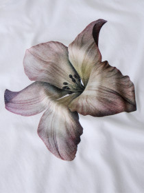 LMTD T-shirt Hibi Bright White